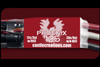 PHX 125